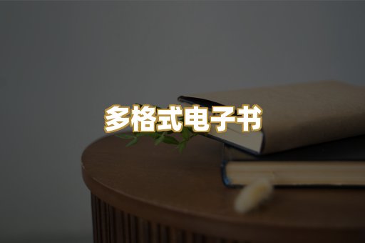 多格式电子书